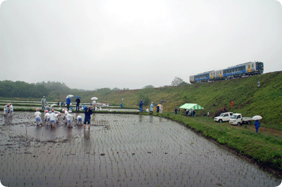 05251.gif