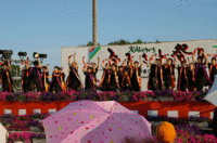 t03.gif