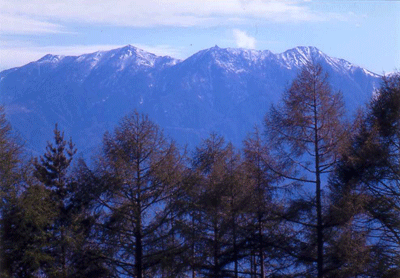 t0615.gif