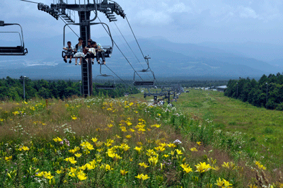 08101.gif
