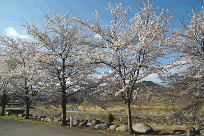 040703.gif