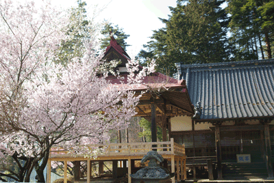 040704.gif