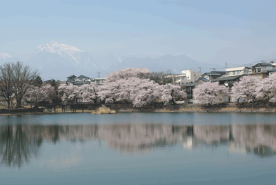 04124.gif