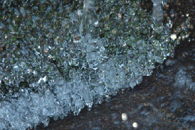 s0202.gif