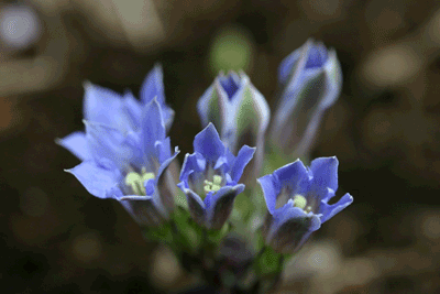 s0501.gif