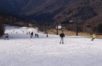 1220.gif