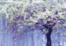 z12011.gif