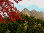 0116.gif