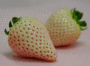 02033.gif
