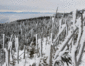 t02011.gif