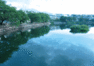 t0816.gif