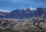 z0401.gif