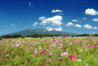 z0901.gif