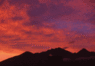 z1101.gif