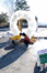 0111.gif