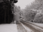 0120.gif