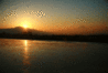 z0101.gif